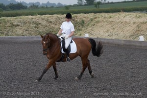 ISIS Dressage Challenge 2008